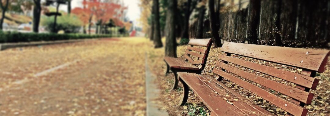 brown wooden bench with brown dried leaves