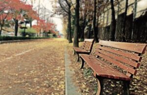 brown wooden bench with brown dried leaves