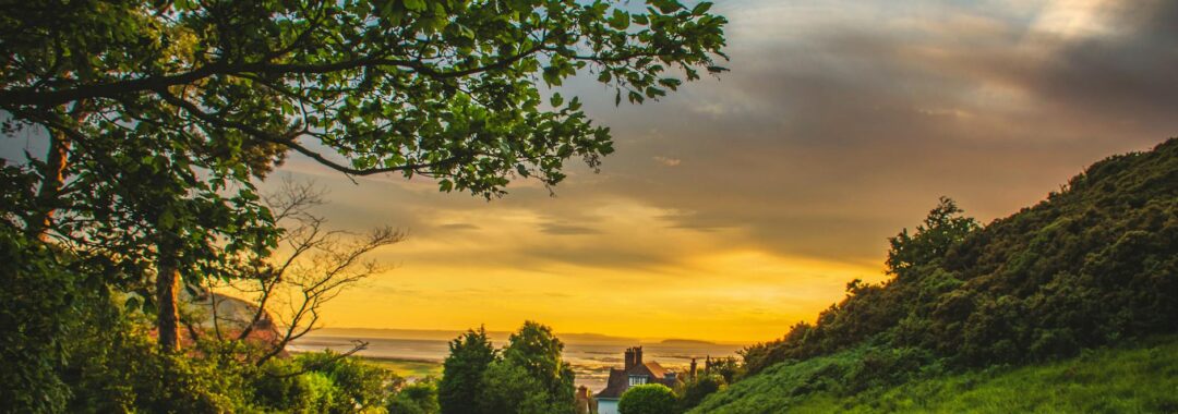 green trees under blue and orange sky during sunset