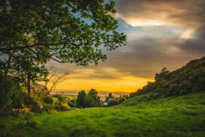 green trees under blue and orange sky during sunset