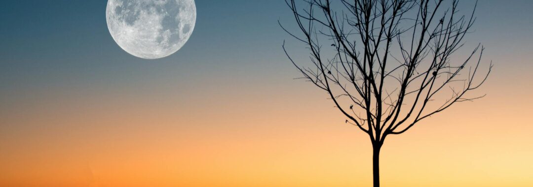 full moon on a daybreak