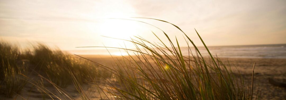 landscape photography of beach