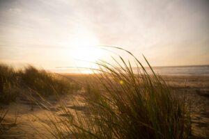 landscape photography of beach